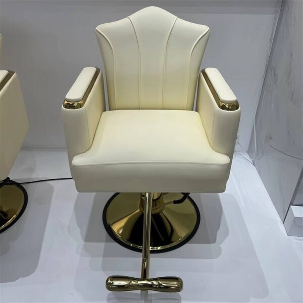 premium-salon-chair-height-adjustable-swivel-and-reclining-01