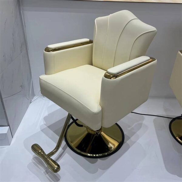 premium-salon-chair-height-adjustable-swivel-and-reclining-02