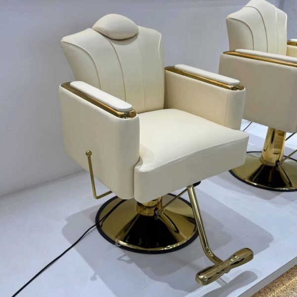 premium-salon-chair-height-adjustable-swivel-and-reclining-03