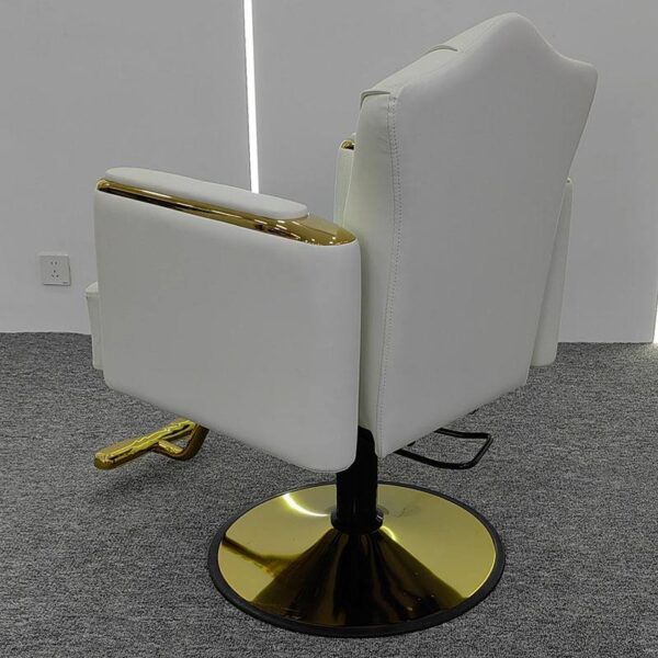 premium-salon-chair-height-adjustable-swivel-and-reclining-04