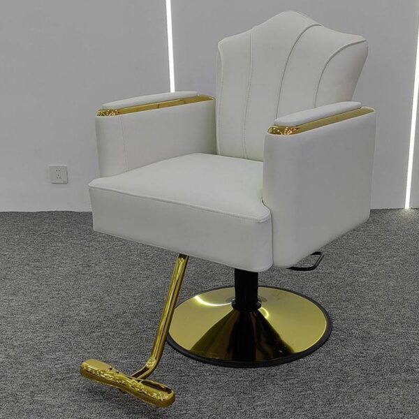 premium-salon-chair-height-adjustable-swivel-and-reclining-05