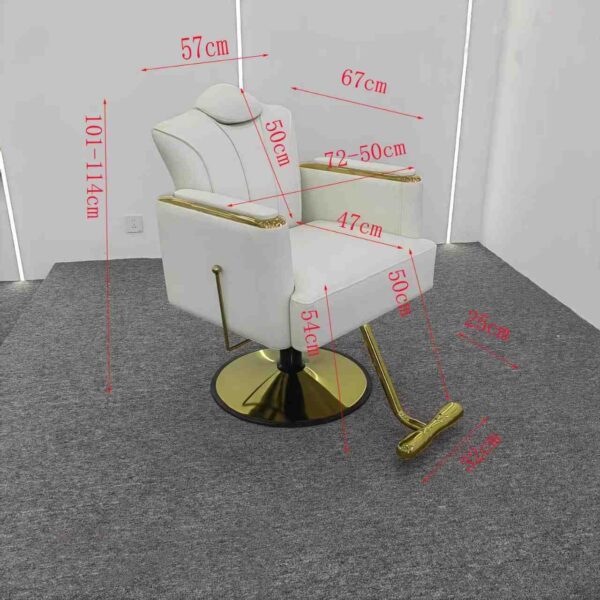 premium-salon-chair-height-adjustable-swivel-and-reclining-06