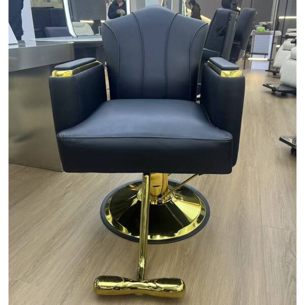 premium-salon-chair-height-adjustable-swivel-and-reclining-07