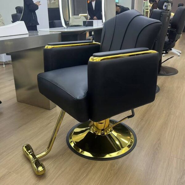 premium-salon-chair-height-adjustable-swivel-and-reclining-08