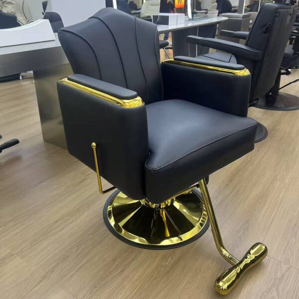 premium-salon-chair-height-adjustable-swivel-and-reclining-09