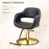 premium-salon-chair-stylish-height-adjustable-styling-colo-01