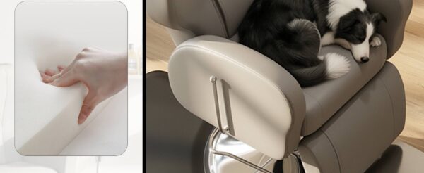 premium-viral-style-electric-hair-care-chair-with-lift-and-15