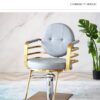 professional-salon-chair-hydraulic-swivel-and-adjustable-c-02