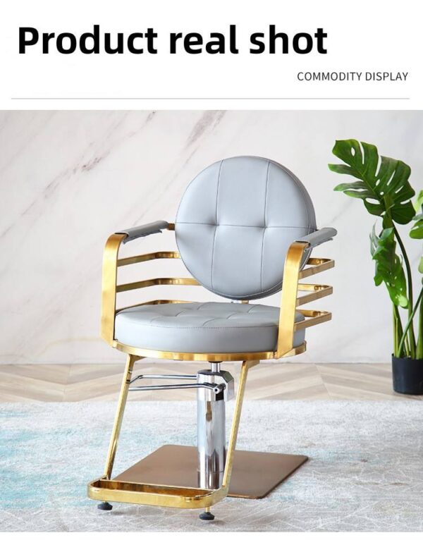professional-salon-chair-hydraulic-swivel-and-adjustable-c-02