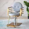 professional-salon-chair-hydraulic-swivel-and-adjustable-c-03
