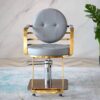 professional-salon-chair-hydraulic-swivel-and-adjustable-c-04