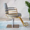 professional-salon-chair-hydraulic-swivel-and-adjustable-c-05