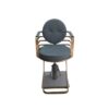 professional-salon-chair-hydraulic-swivel-and-adjustable-c-06