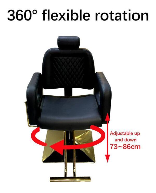 professional-salon-chair-reclining-height-adjustable-and-s-01