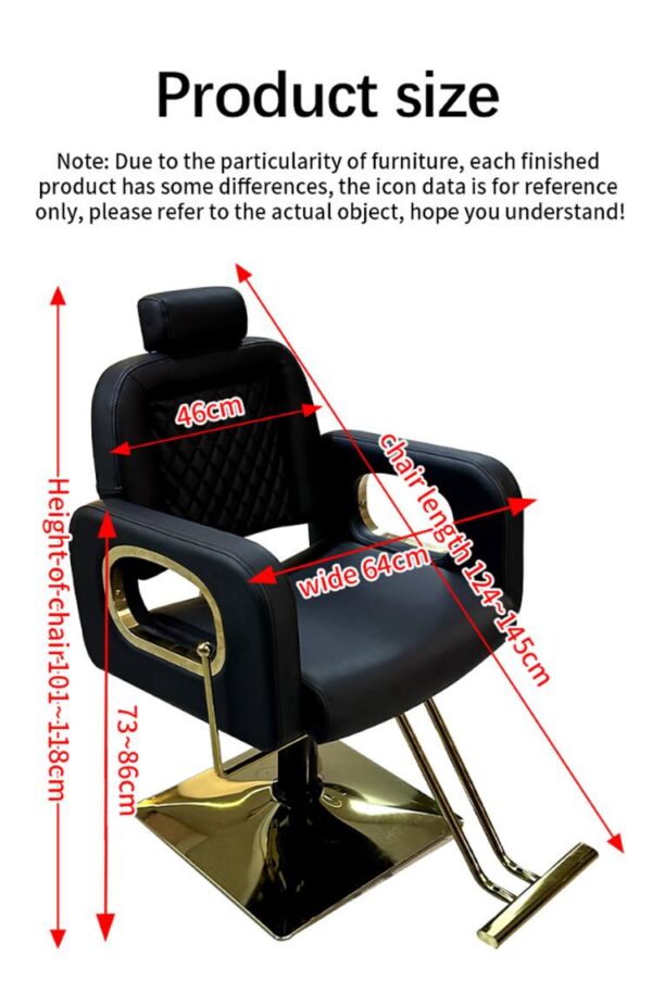 professional-salon-chair-reclining-height-adjustable-and-s-02