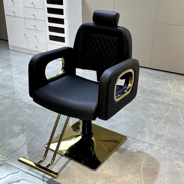 professional-salon-chair-reclining-height-adjustable-and-s-04