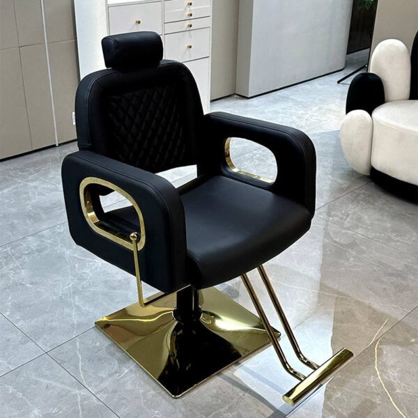 professional-salon-chair-reclining-height-adjustable-and-s-05