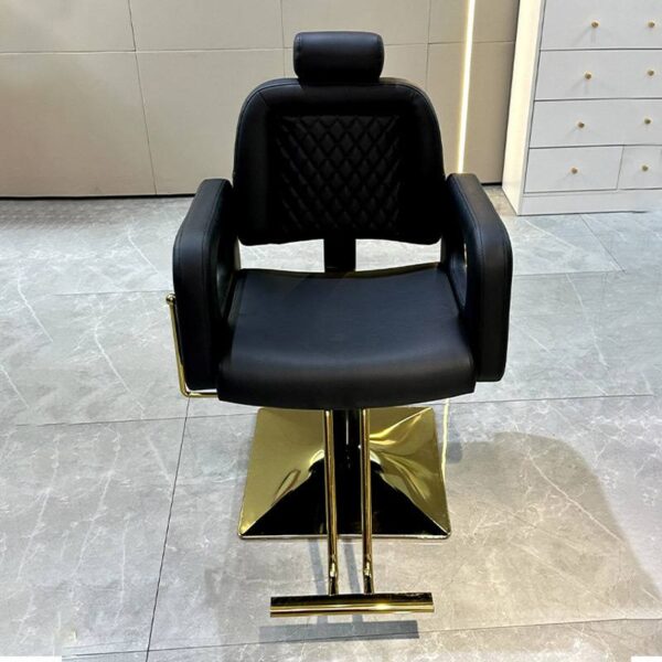 professional-salon-chair-reclining-height-adjustable-and-s-06