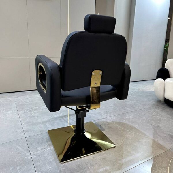 professional-salon-chair-reclining-height-adjustable-and-s-07