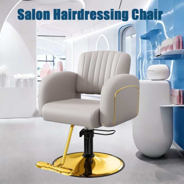 professional-salon-chair-swivel-reclining-and-designed-spe-01