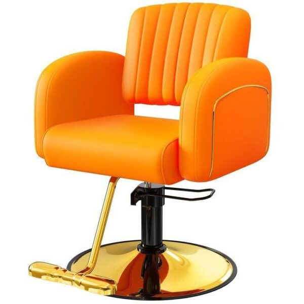 professional-salon-chair-swivel-reclining-and-designed-spe-02
