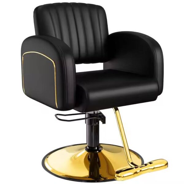 professional-salon-chair-swivel-reclining-and-designed-spe-04