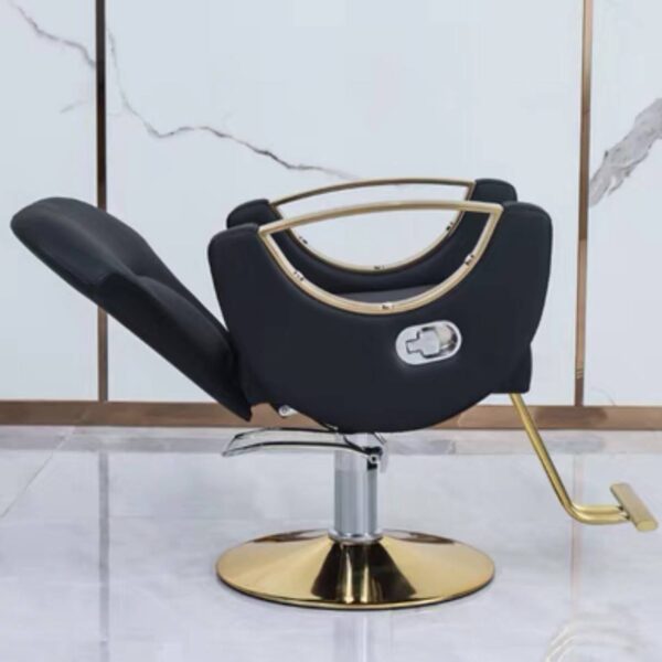 professional-salon-styling-chair-height-adjustable-trendy-03 professional-salon-styling-chair-height-adjustable-trendy-03