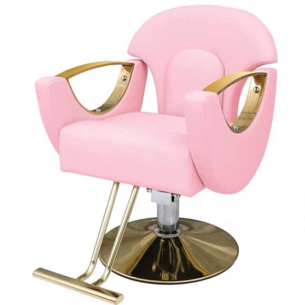 professional-salon-styling-chair-height-adjustable-trendy-05 professional-salon-styling-chair-height-adjustable-trendy-05