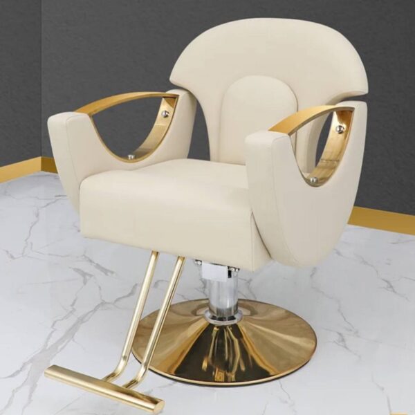 professional-salon-styling-chair-height-adjustable-trendy-06 professional-salon-styling-chair-height-adjustable-trendy-06