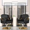 professional-salon-styling-chair-with-stainless-steel-armr-01
