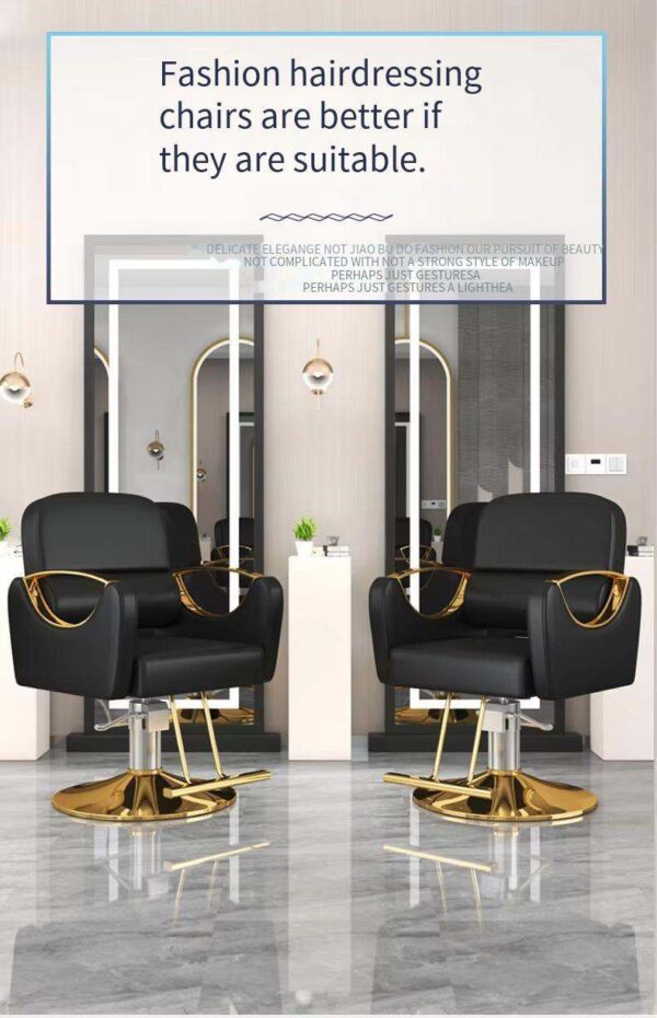 professional-salon-styling-chair-with-stainless-steel-armr-01
