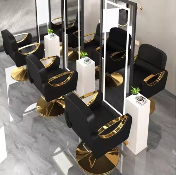 professional-salon-styling-chair-with-stainless-steel-armr-06