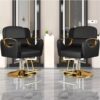 professional-salon-styling-chair-with-stainless-steel-armr-07