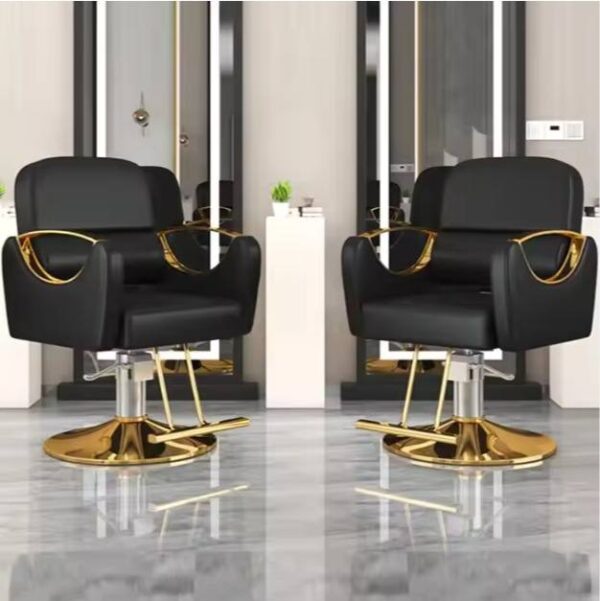 professional-salon-styling-chair-with-stainless-steel-armr-07