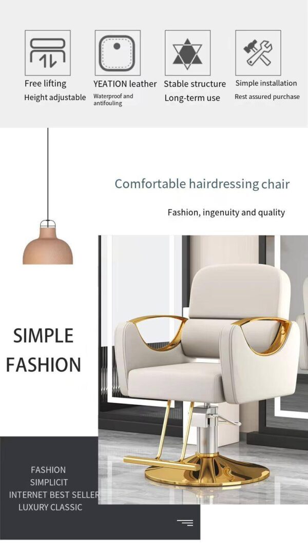 professional-salon-styling-chair-with-stainless-steel-armr-08