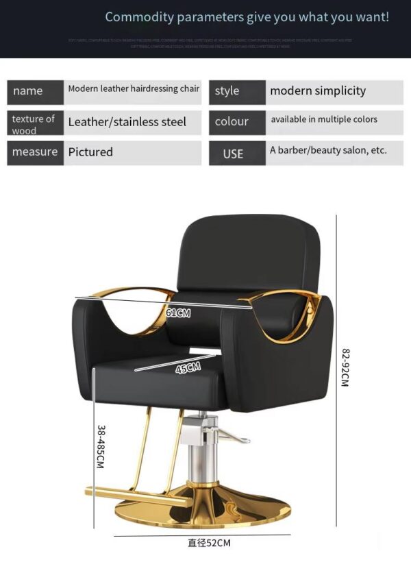 professional-salon-styling-chair-with-stainless-steel-armr-11