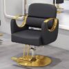 professional-salon-styling-chair-with-stainless-steel-armr-12