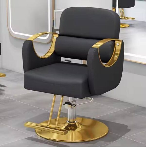 professional-salon-styling-chair-with-stainless-steel-armr-12