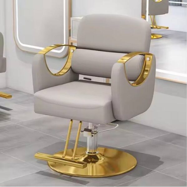 professional-salon-styling-chair-with-stainless-steel-armr-13