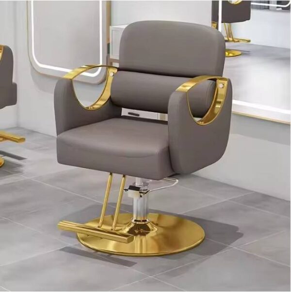 professional-salon-styling-chair-with-stainless-steel-armr-14