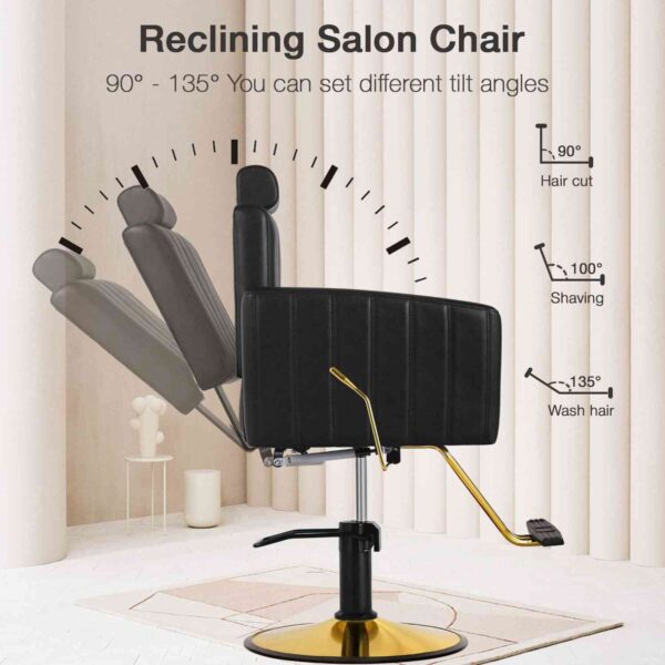 salon-chair-reclining-swiveling-and-height-adjustable-styl-05
