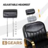 salon-styling-chair-hydraulic-swivel-and-adjustable-chair-08