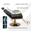 salon-styling-chair-hydraulic-swivel-and-adjustable-chair-09