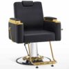 trendy-salon-chair-premium-hairdressing-chair-for-cutting-01