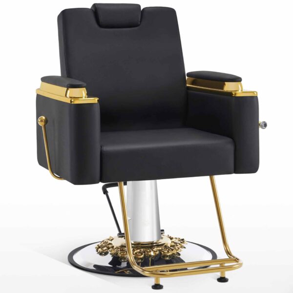 trendy-salon-chair-premium-hairdressing-chair-for-cutting-01