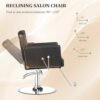 viral-style-salon-chair-barberhairdressing-chair-height-ad-07