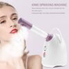 wholesale-home-nano-ionic-facial-steamer-hot-cold-mist-bea-07