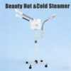 wholesale-of-multifunctional-home-use-facial-steamers-dual-01 wholesale-of-multifunctional-home-use-facial-steamers-dual-01