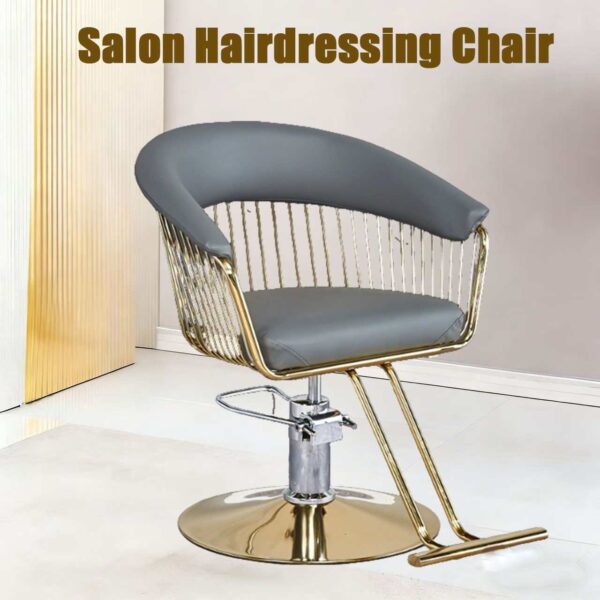 wholesale-of-new-style-salon-chairs-height-adjustable-tren-01