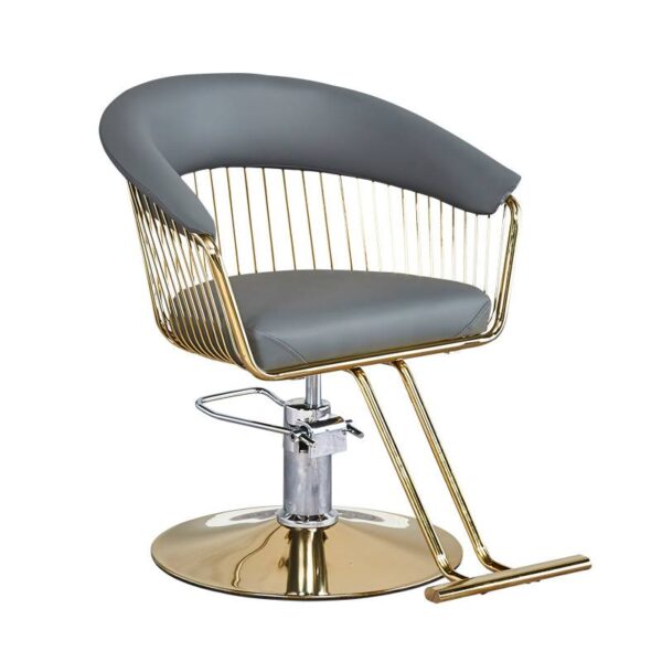 wholesale-of-new-style-salon-chairs-height-adjustable-tren-02